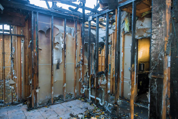 Professional Emergency Fire Cleanup technician working in Fall City, WA